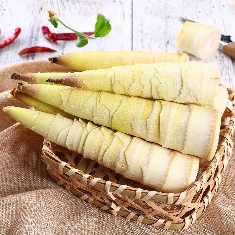 frozen fresh bamboo shoots 10kg / box small bamboo shoots