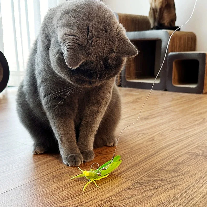 Interactive Green Grasshopper Cat Teaser Toy - Fun & Eco-friendly