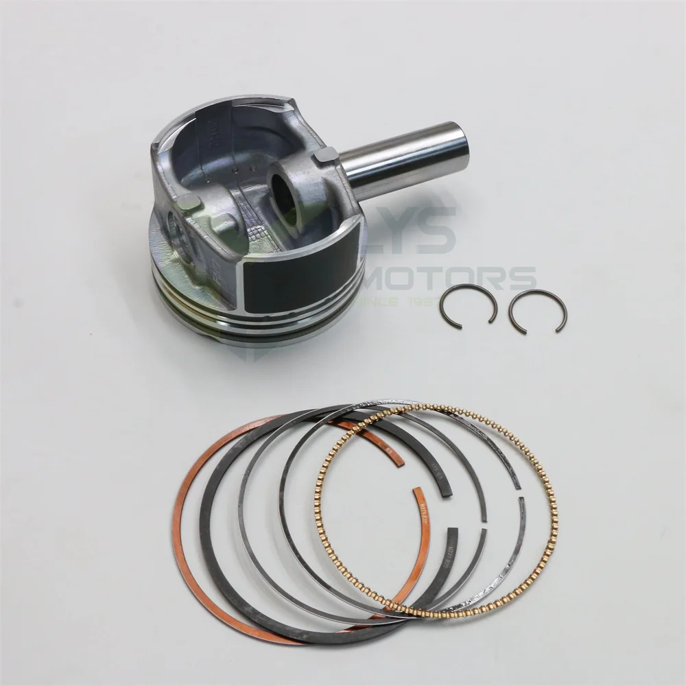 レオン 12773793-01-01.jpg