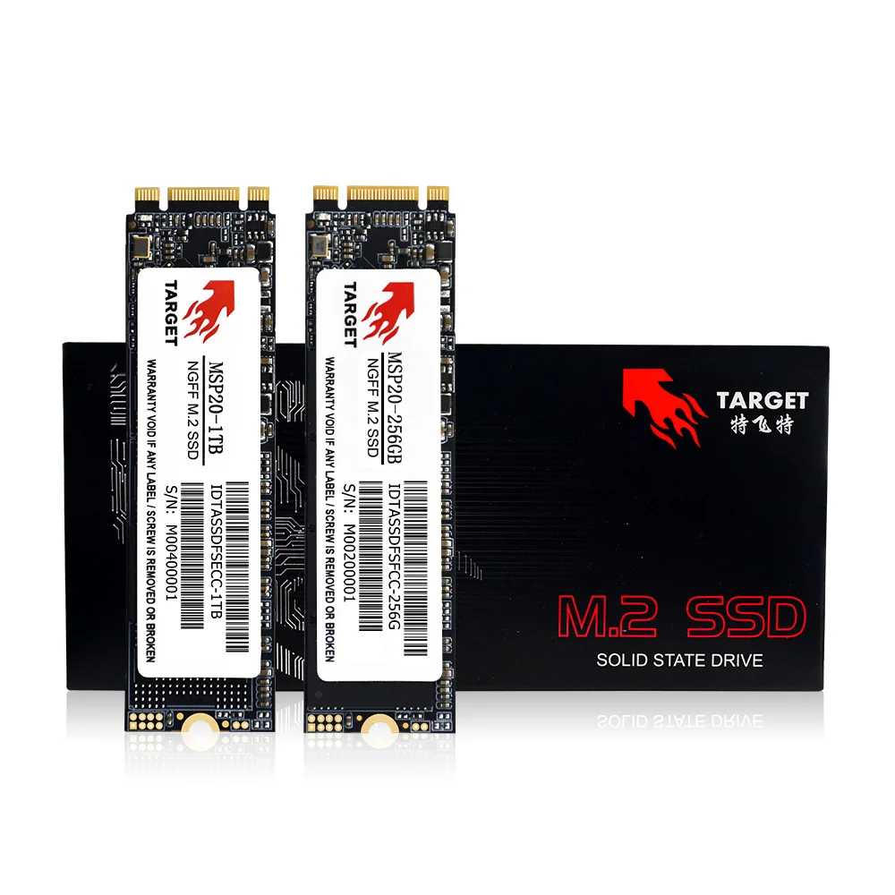 TARGET 22*42mm M.2 SSD 1TB - High Speed Internal Storage