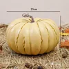 25cm apricot pumpkin