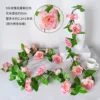 9-headed rose vine - purplish-red