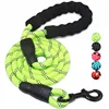 Dog Leash 03