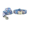 collar with leash 3