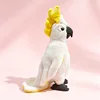Cacatua girasole bianco grande