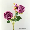 3-headed Royal Rose