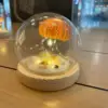 Lampe méduse unique, couvercle rond, alimentée par batterie, batterie incluse