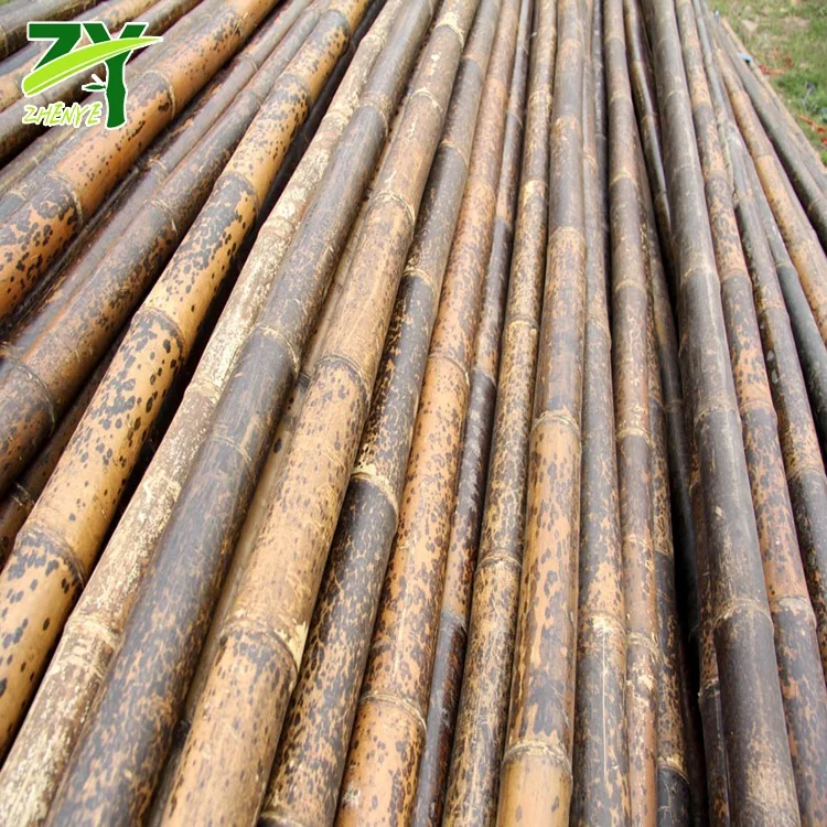 Rohes Bambusmaterial, Gesprenkelte Bambussorte, Tiger-Bambusstangen|  Alibaba.com