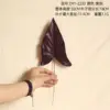 DY1-2233 Purple