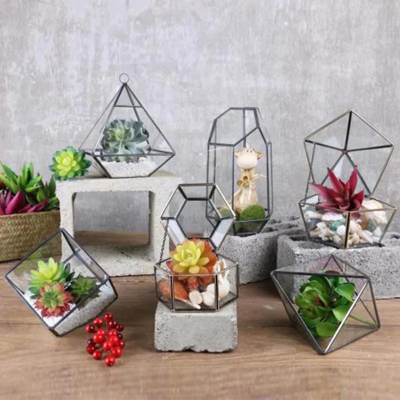 Hanging Glass Terrarium - Modern Artistic Wall Decor