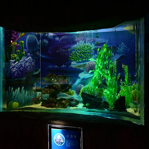 Good Quality Clear Fish Tank Aquarium,Modern Design Ocean World Aquarium# -  Buy Aquarium,Fish Tank Aquarium,Ocean World Aquarium Product on 