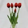 03-Red