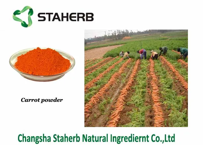 high quality Carrot Extract powder