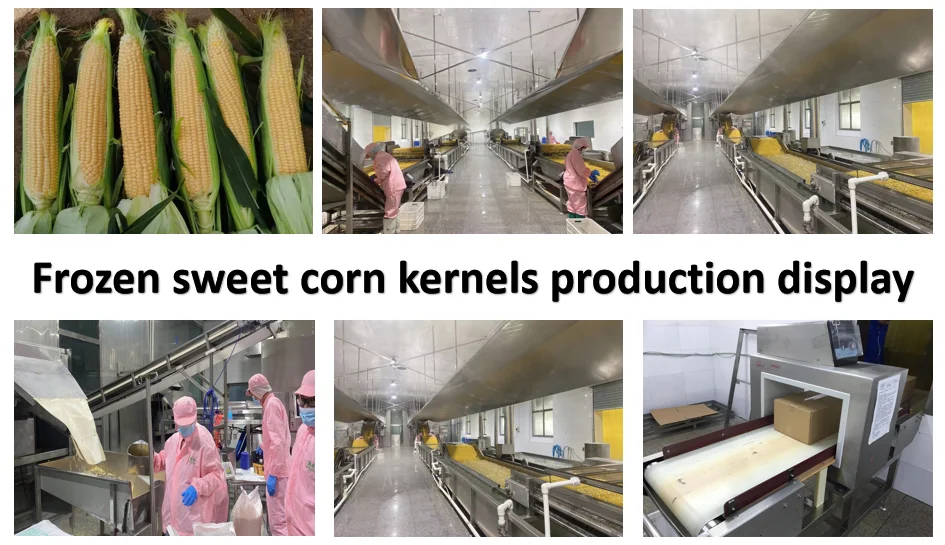 Human Consumption Iqf Frozen Sweet Corn Kernels Supplier Manufacturers ...