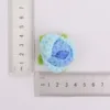 สีฟ้าไล่ระดับ-กลีบกุหลาบฟองสีไล่ระดับ