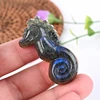 seahorse