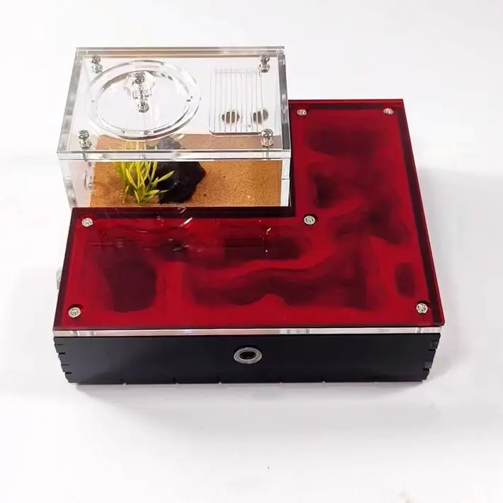 Formicario In Gesso E Acrilico Per Formiche - Farm Piatta Grande Con Area Di Alimentazione