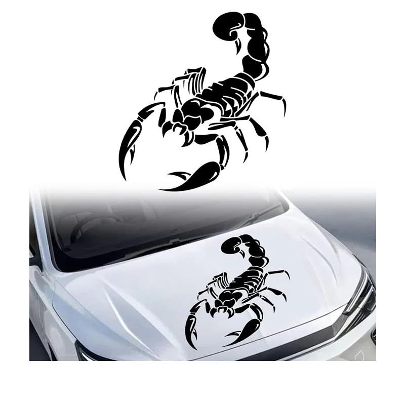 Aufkleber Auto 3D Realistische Spinne