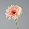 nuovo rosa chiaro