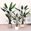 Birds of paradise with flowers