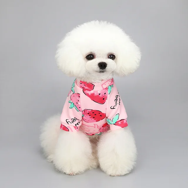 Cartoon style plus velvet two-legged Luxury Shirt designer dog clothes cheap wholesale