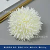 Fleurs de pissenlit, blanc laiteux