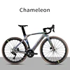 Bicicleta gris camaleón