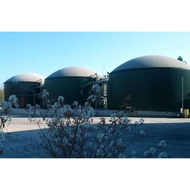 Biogas Digester for Sale Biogas Digester System Mini Biogas Digester