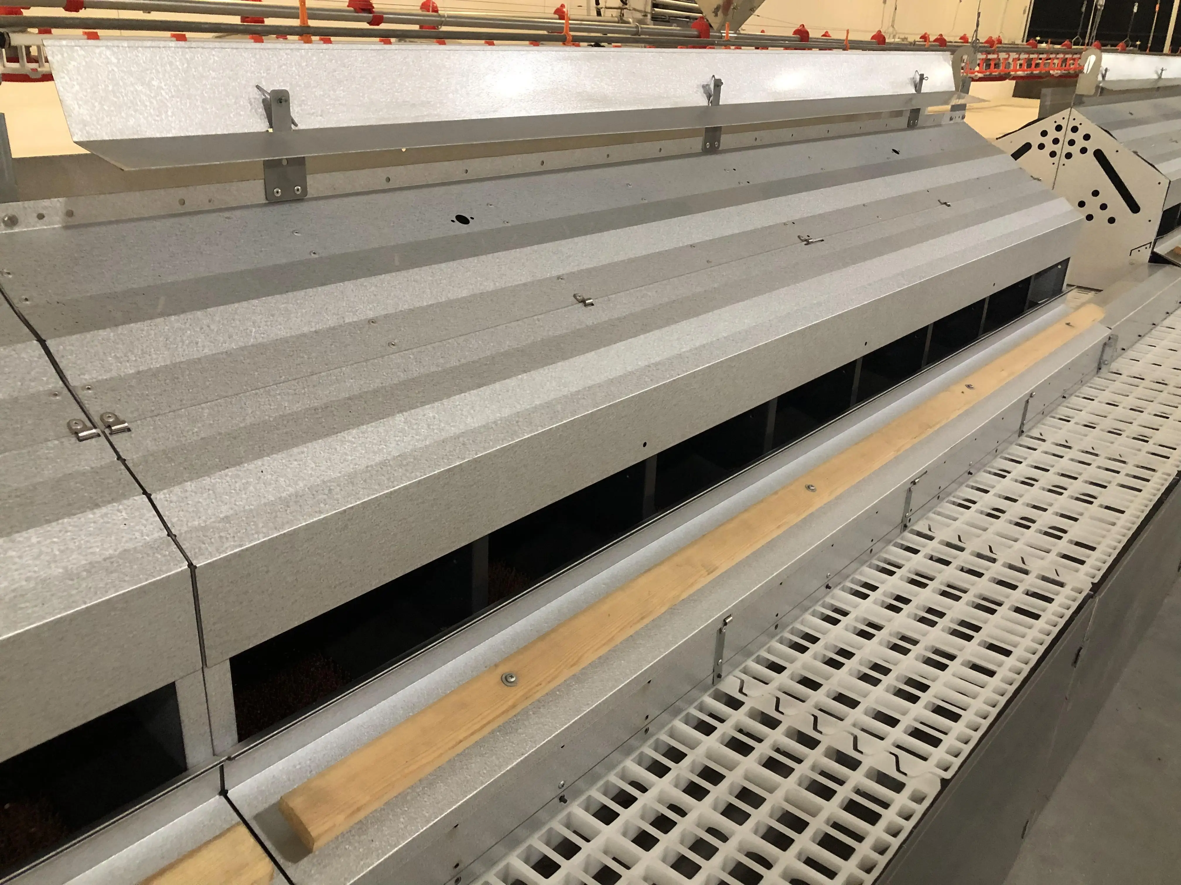 Floor Chickens Laying Nest Boxes Automatic Hens Coop Poultry Nesting Equipment Eggs Roll Away