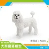 Caniche PL127-1269 233G
