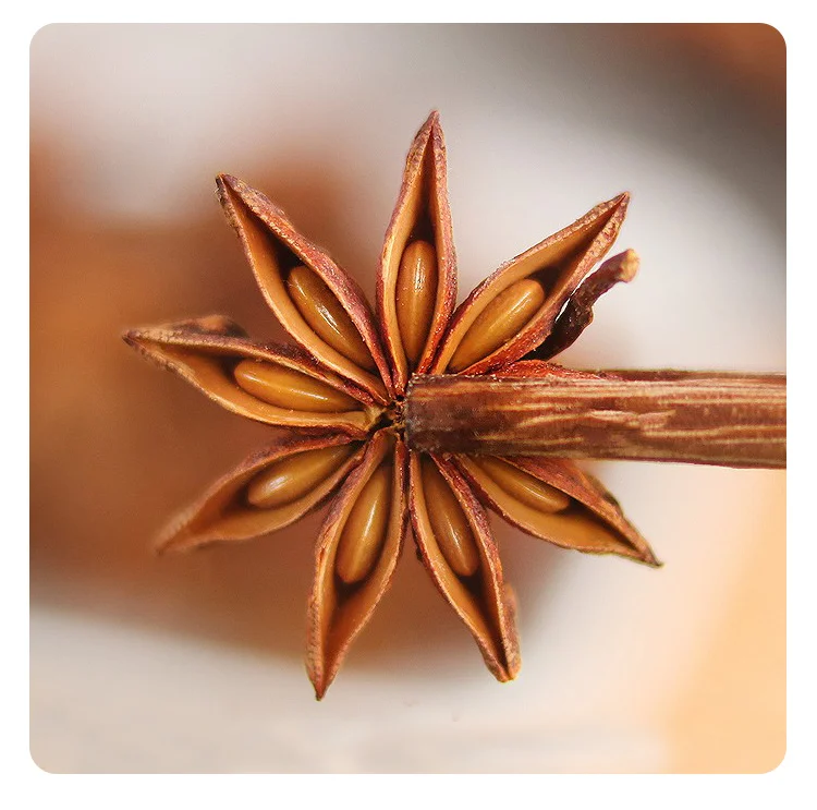 Huaran Wholesale Star High Quality Dried Spice Dried Star Anise Grade