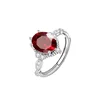 JH0418-5Garnet