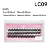 LC09   แอลซี09