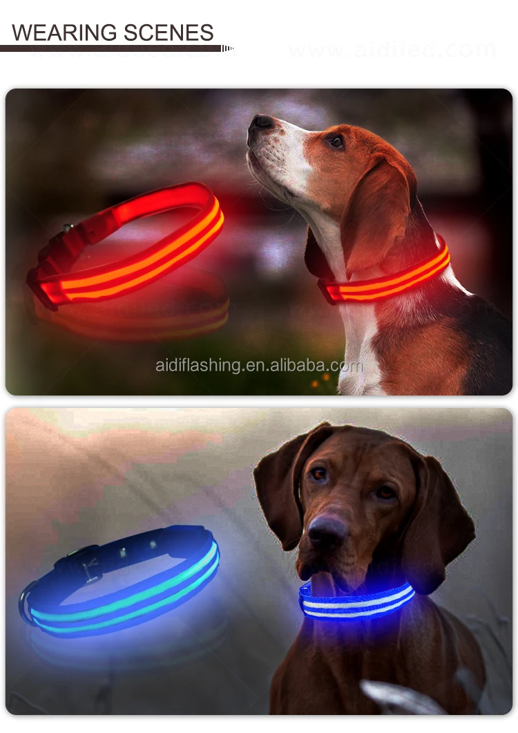 Led Dog Collar Battery Flashing Light Pet Collar Adjustable Led Dog Collar Safety in Dark