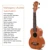 Paisen 21 Inch Sopraan Ukulele Tas Alle Massief Ukulele Bas Ukulele Kit