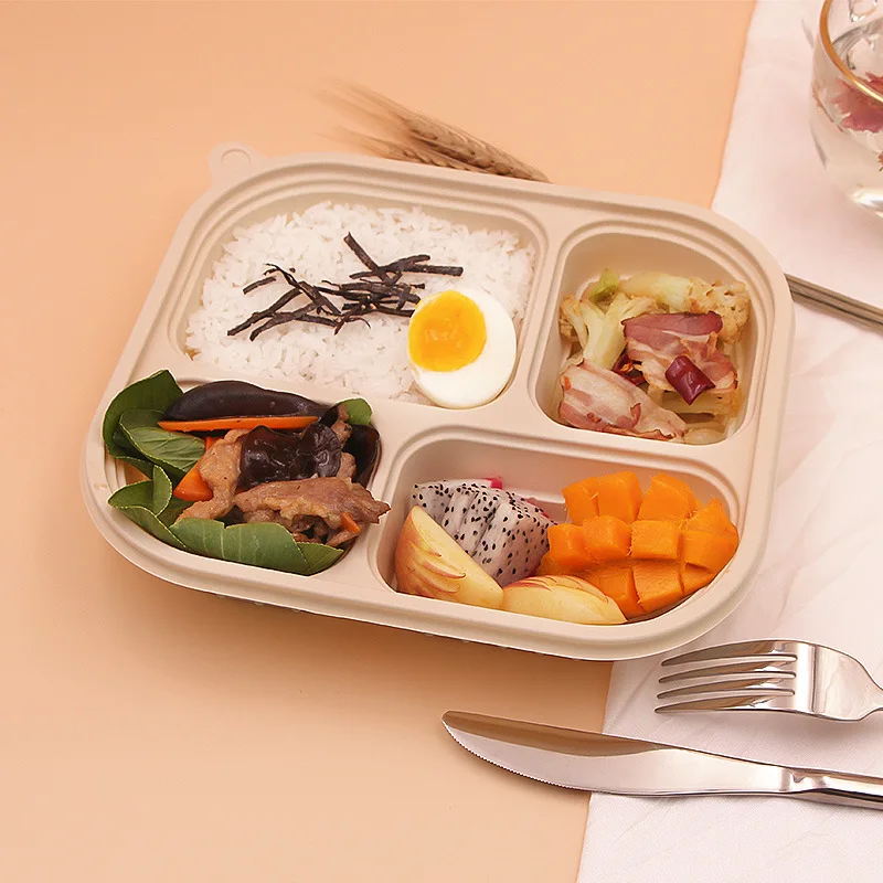 Biodegradable Food Container with Compartments