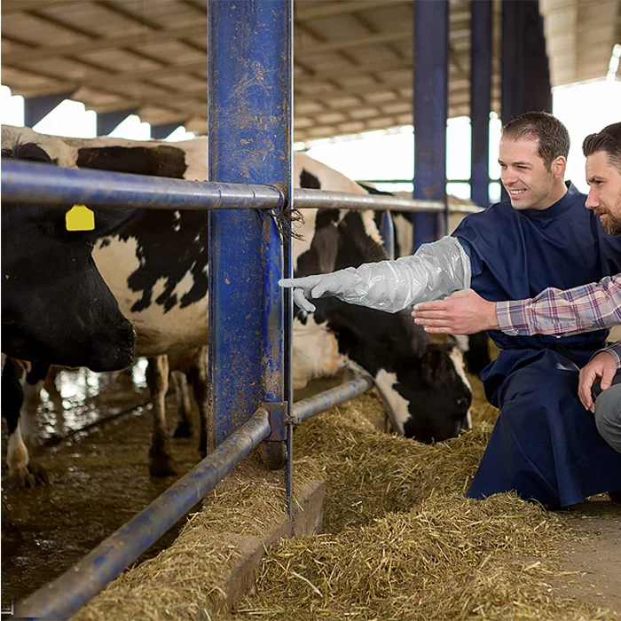 Equine Vet Ai Supplies Artificial Insemination Instrument Veterinary Arm Length Plastic Gloves