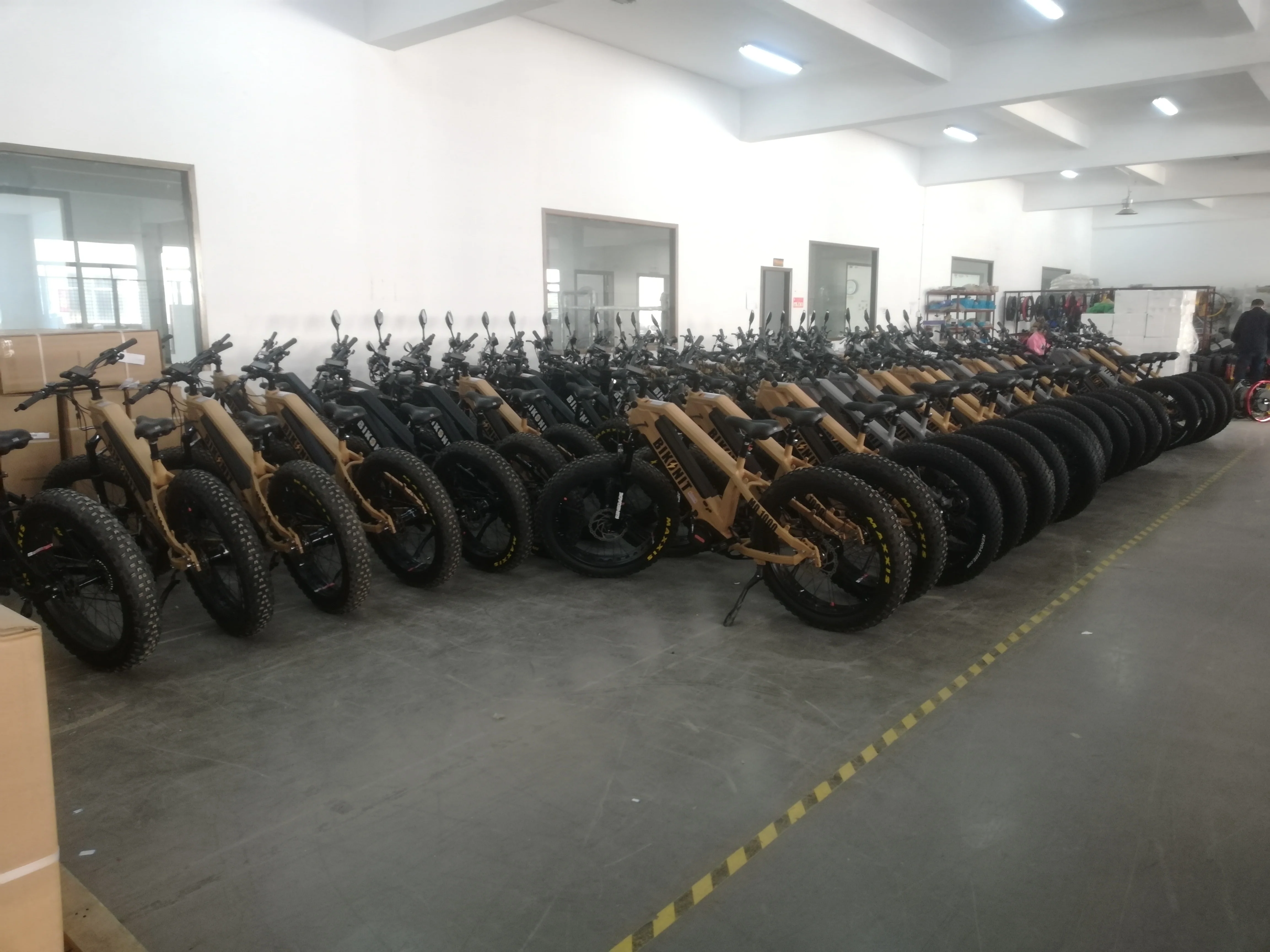 American Warehouse Chain Drive Electric Bike Fat Ebike Mountain Bike