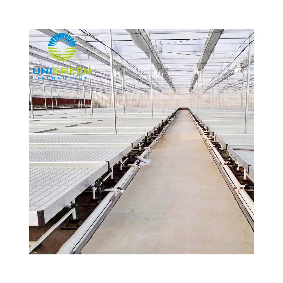 Ebb and Flow 4x16 Rolling Tables Agricultural Used 4x32 Flood Growing Bench Table With Hydroponic Flood Tray for Greenhouse Farm