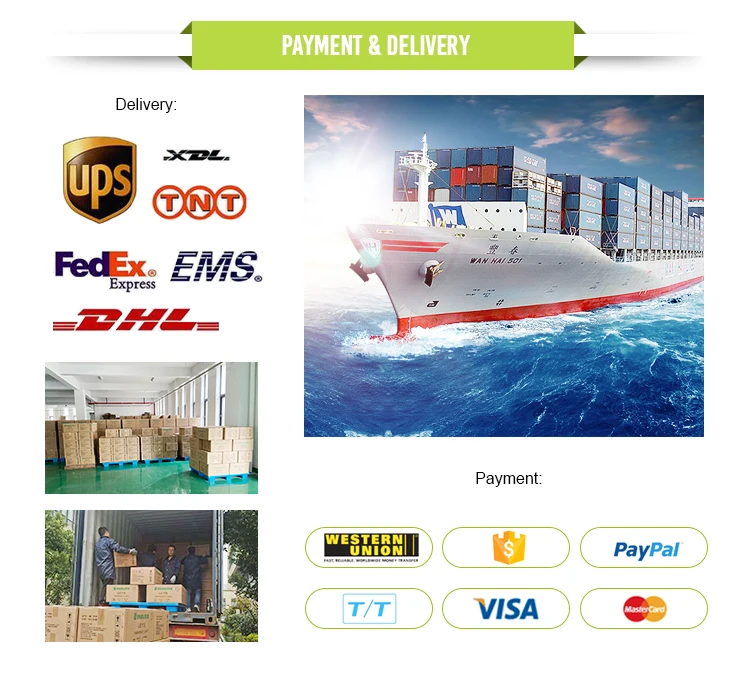 220V Input Twin Spot Emergency Light with 3-Year Warranty and 50000 Hours Lifespan