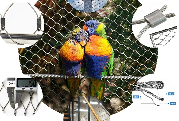 Animal Zoo Stainless Steel Wire Protective Cable Rope Mesh / Cable Mesh Green Plant Climbing Trellis Walls
