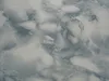 36020