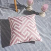 45*45cm embroidered cushion 15