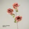 Milk tea colored cappuccino rose
