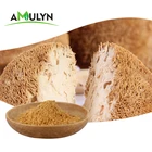 Organic Dried Hericium Erinaceus Lions Lion's Mane Mushroom Monkey Head Mushroom Extract Powder