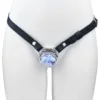 ceinture + cage à anneaux incurvés + papillon bleu