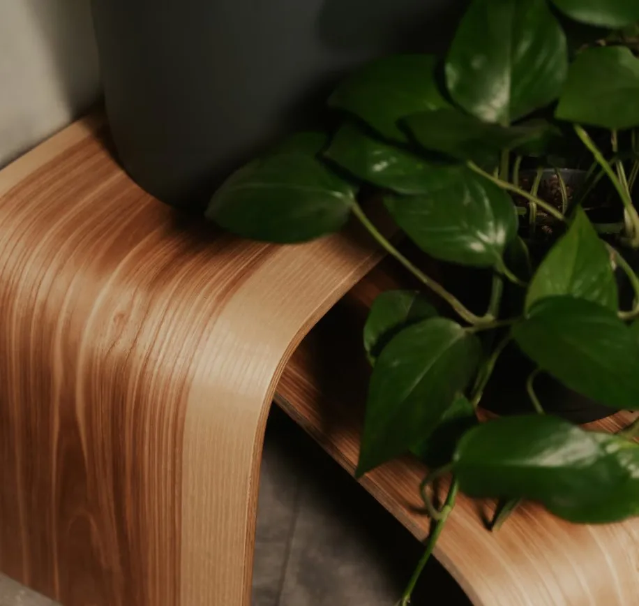 Wooden Stool Plant Riser - Elegant Flower Display Stand