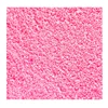 Rosa 01