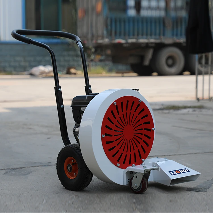 Liondi Clean Work Road Marking Road Blower High Efficiency - Main Image
