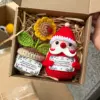 Santa Claus gift box
